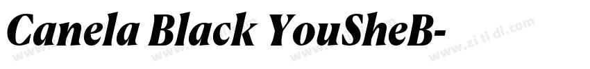 Canela Black YouSheB字体转换 Canela Black YouSheB字体转换